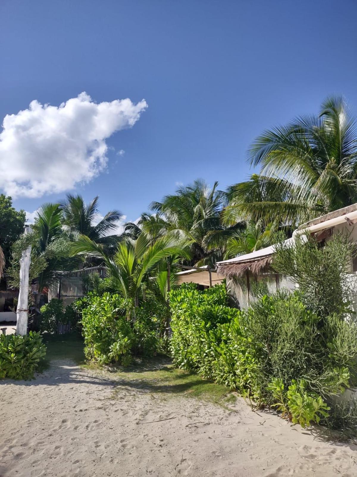 Lunazul Eco-Cabana Frente Al Mar Mahahual Exterior photo