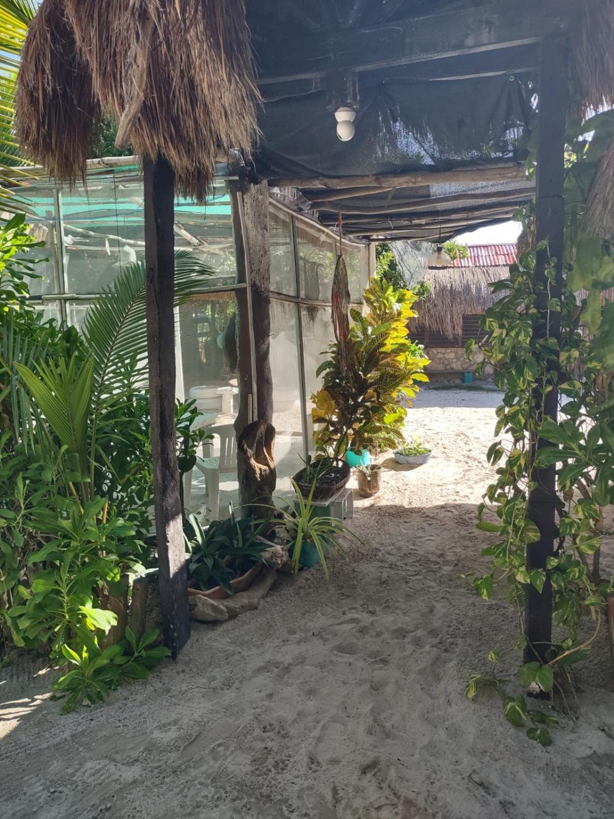 Lunazul Eco-Cabana Frente Al Mar Mahahual Exterior photo